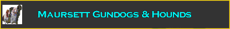 UK based breeder of Clumber Spaniels, German Wirehaired Pointers, Bracco Italiano and Basset Hounds